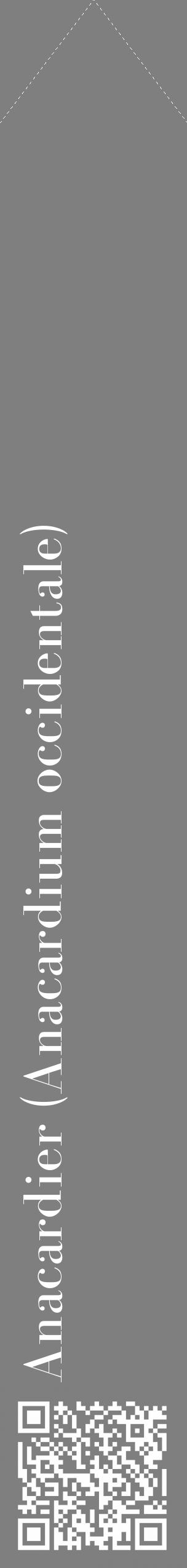 Étiquette de : Anacardium occidentale - format c - style blanche31_simple_simplebod avec qrcode et comestibilité - position verticale