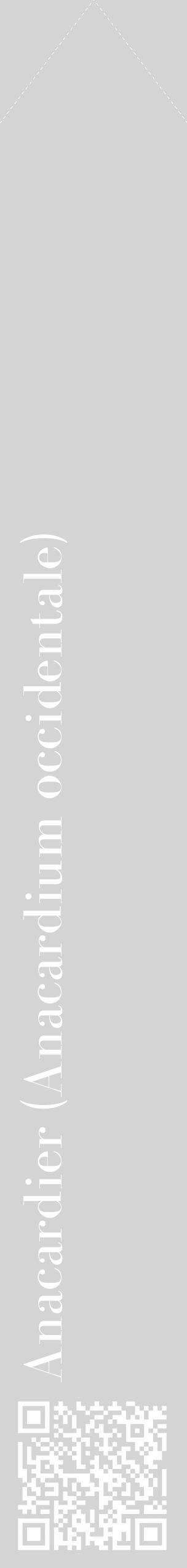 Étiquette de : Anacardium occidentale - format c - style blanche40_simple_simplebod avec qrcode et comestibilité - position verticale