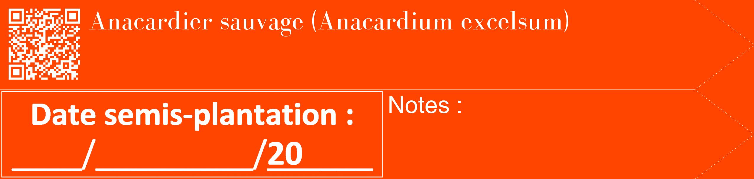 Étiquette de : Anacardium excelsum - format c - style blanche26_simple_simplebod avec qrcode et comestibilité