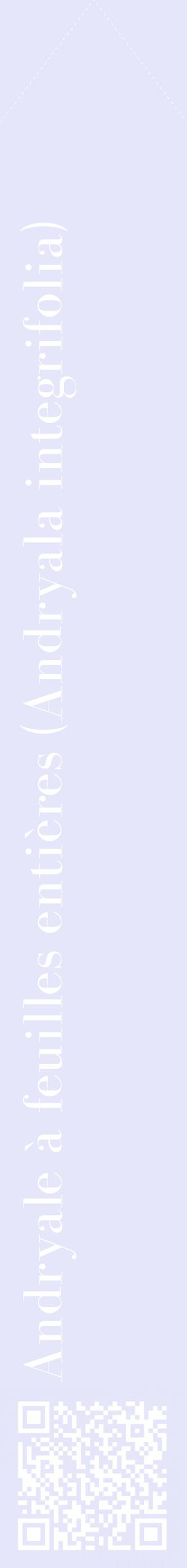 Étiquette de : Andryala integrifolia - format c - style blanche55_simplebod avec qrcode et comestibilité