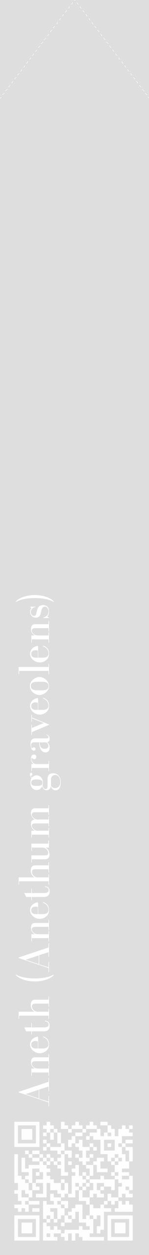 Étiquette de : Anethum graveolens - format c - style blanche20_simple_simplebod avec qrcode et comestibilité - position verticale