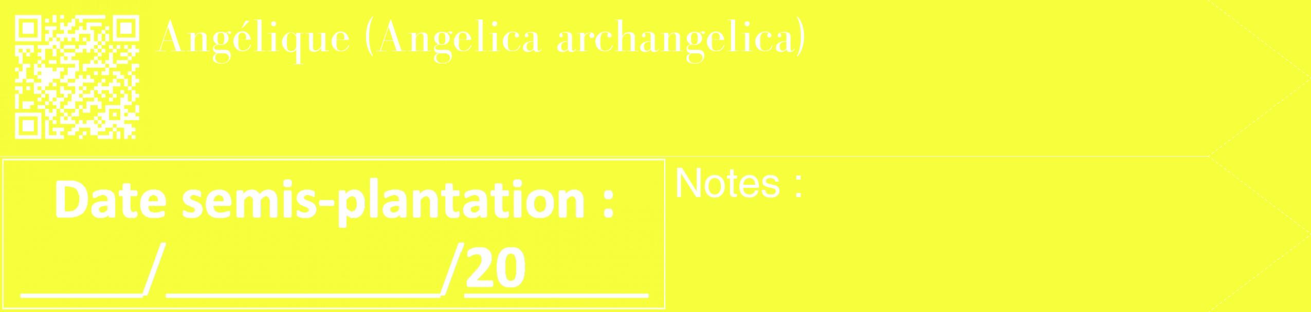 Étiquette de : Angelica archangelica - format c - style blanche18_simple_simplebod avec qrcode et comestibilité