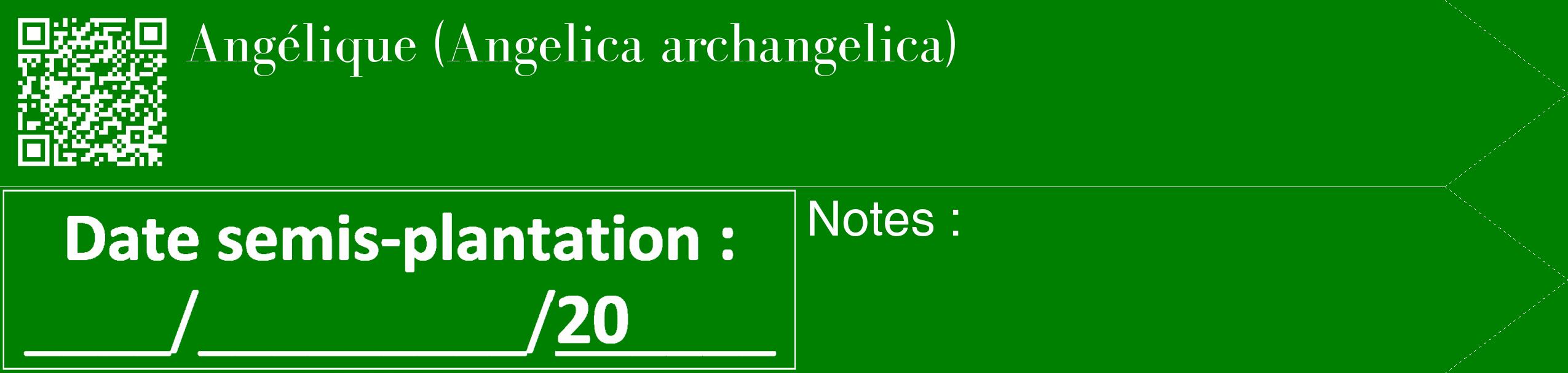 Étiquette de : Angelica archangelica - format c - style blanche9_simple_simplebod avec qrcode et comestibilité