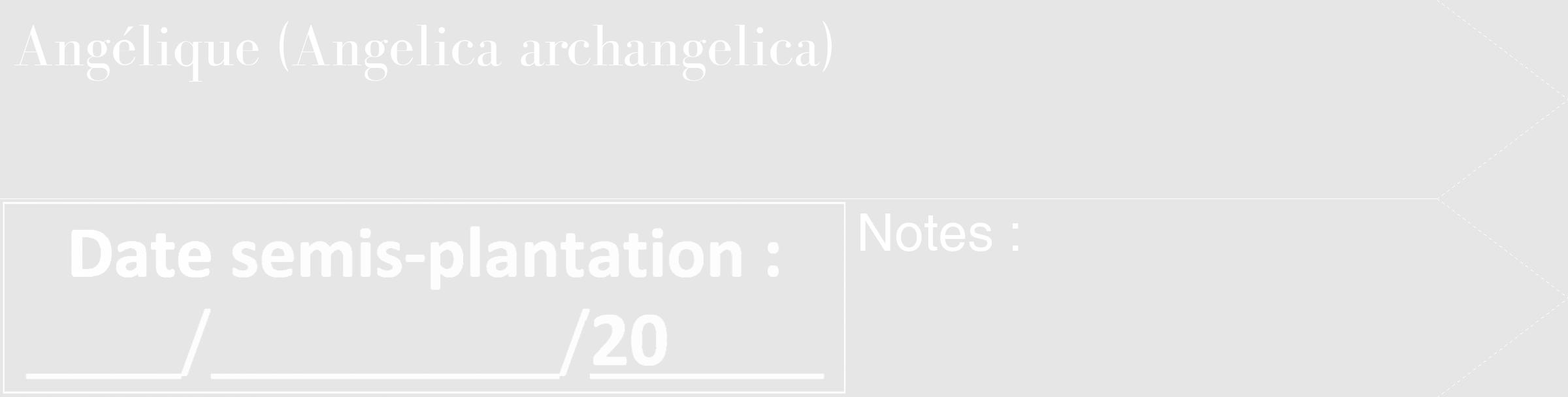 Étiquette de : Angelica archangelica - format c - style blanche18_simple_simplebod avec comestibilité