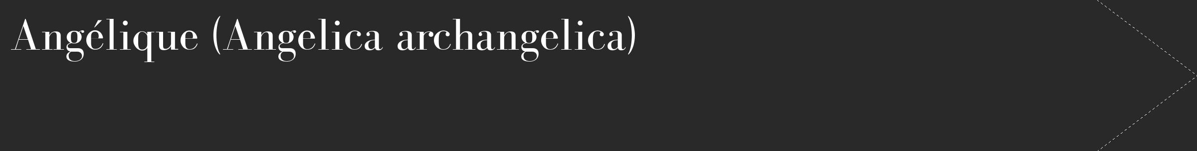 Étiquette de : Angelica archangelica - format c - style blanche34_simple_simplebod avec comestibilité
