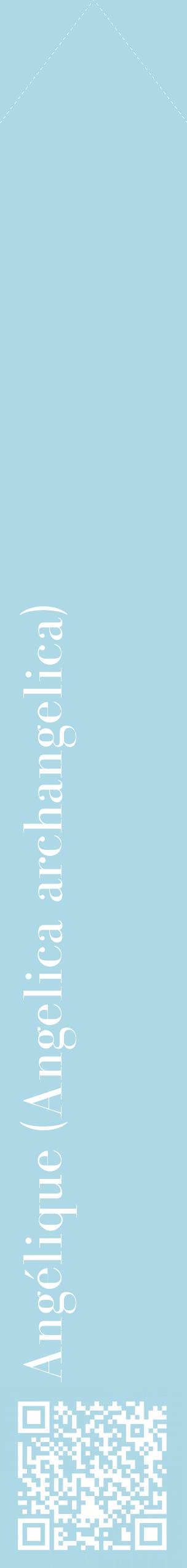 Étiquette de : Angelica archangelica - format c - style blanche0_simplebod avec qrcode et comestibilité