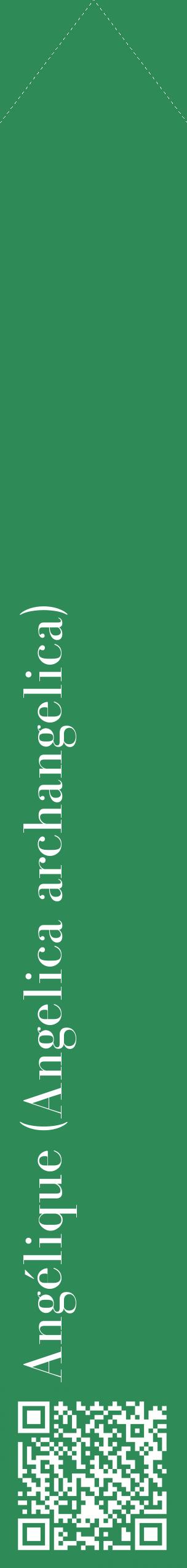 Étiquette de : Angelica archangelica - format c - style blanche11_simplebod avec qrcode et comestibilité