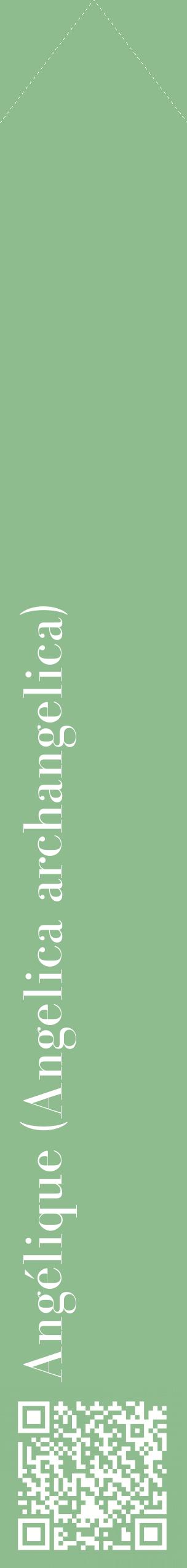 Étiquette de : Angelica archangelica - format c - style blanche13_simplebod avec qrcode et comestibilité