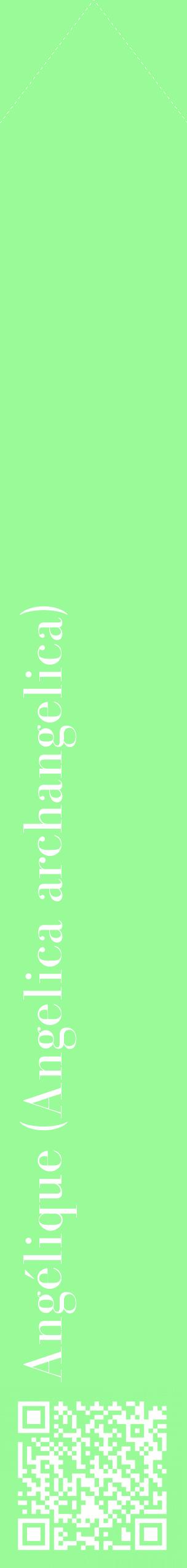 Étiquette de : Angelica archangelica - format c - style blanche14_simplebod avec qrcode et comestibilité