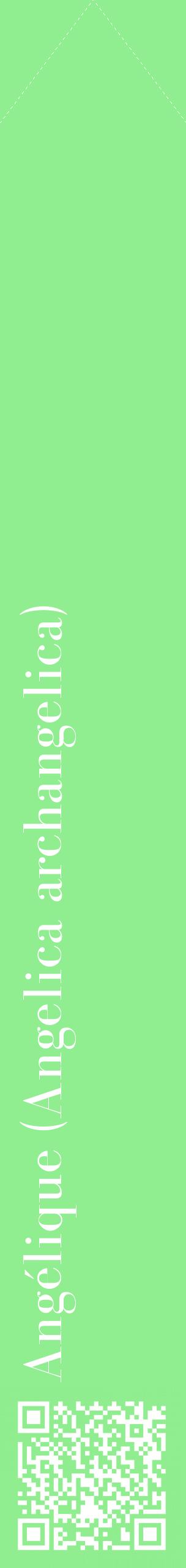 Étiquette de : Angelica archangelica - format c - style blanche15_simplebod avec qrcode et comestibilité