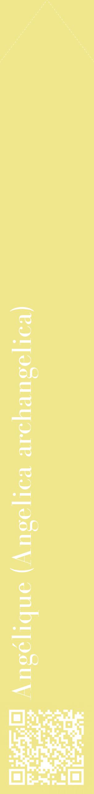 Étiquette de : Angelica archangelica - format c - style blanche20_simplebod avec qrcode et comestibilité