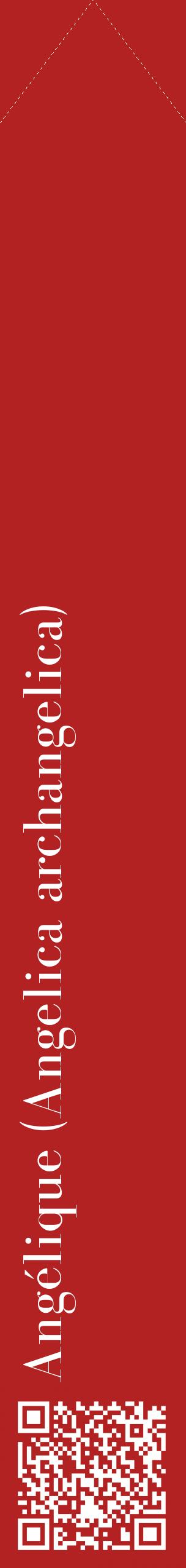 Étiquette de : Angelica archangelica - format c - style blanche28_simplebod avec qrcode et comestibilité