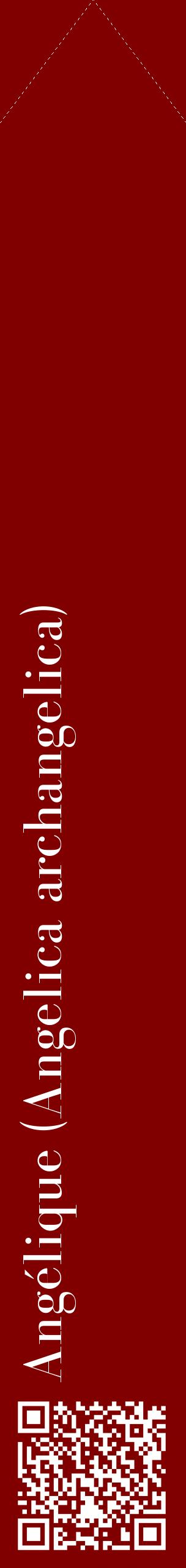 Étiquette de : Angelica archangelica - format c - style blanche29_simplebod avec qrcode et comestibilité