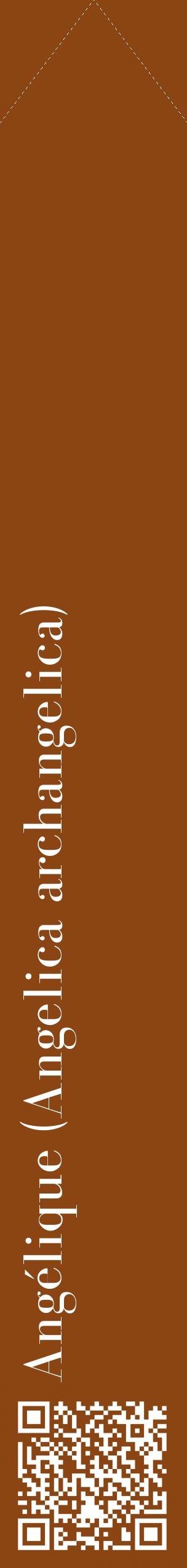 Étiquette de : Angelica archangelica - format c - style blanche30_simplebod avec qrcode et comestibilité