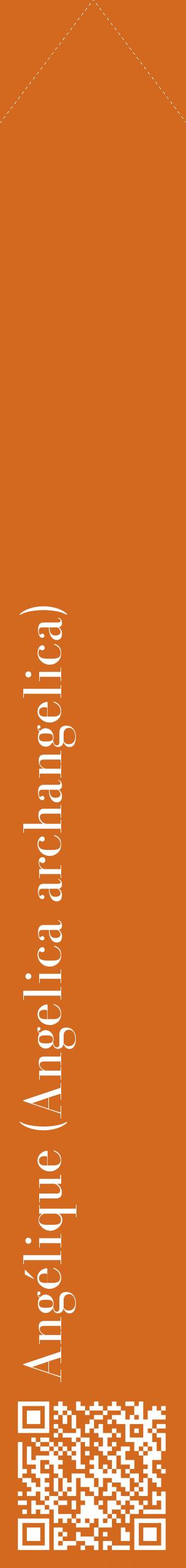 Étiquette de : Angelica archangelica - format c - style blanche31_simplebod avec qrcode et comestibilité