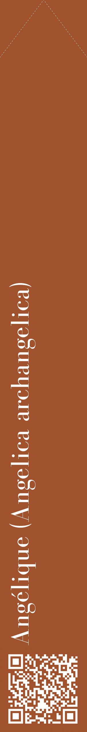 Étiquette de : Angelica archangelica - format c - style blanche32_simplebod avec qrcode et comestibilité