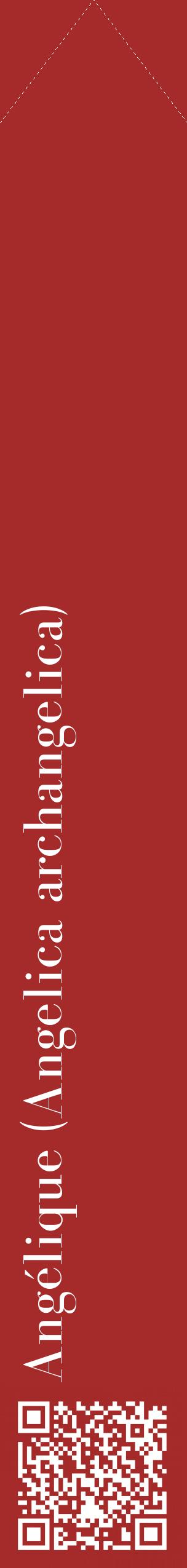 Étiquette de : Angelica archangelica - format c - style blanche33_simplebod avec qrcode et comestibilité
