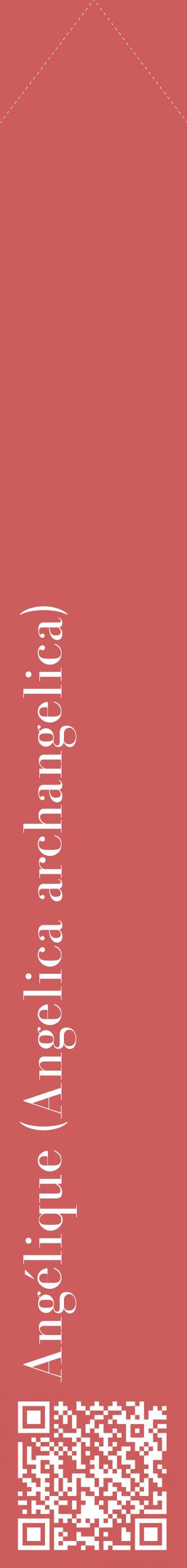 Étiquette de : Angelica archangelica - format c - style blanche35_simplebod avec qrcode et comestibilité