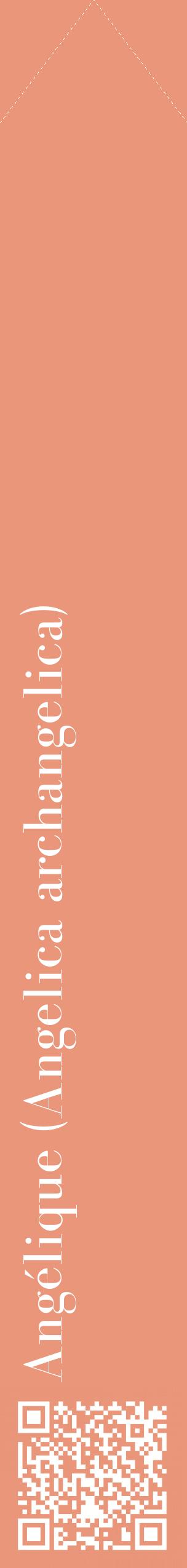 Étiquette de : Angelica archangelica - format c - style blanche37_simplebod avec qrcode et comestibilité