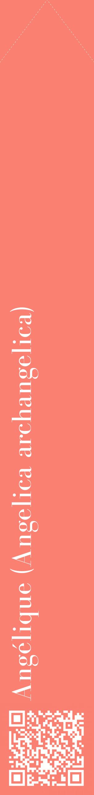Étiquette de : Angelica archangelica - format c - style blanche38_simplebod avec qrcode et comestibilité