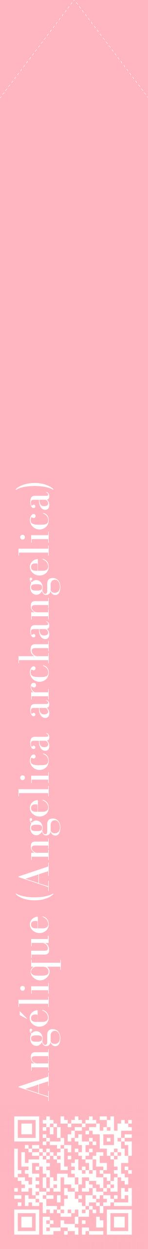 Étiquette de : Angelica archangelica - format c - style blanche41_simplebod avec qrcode et comestibilité