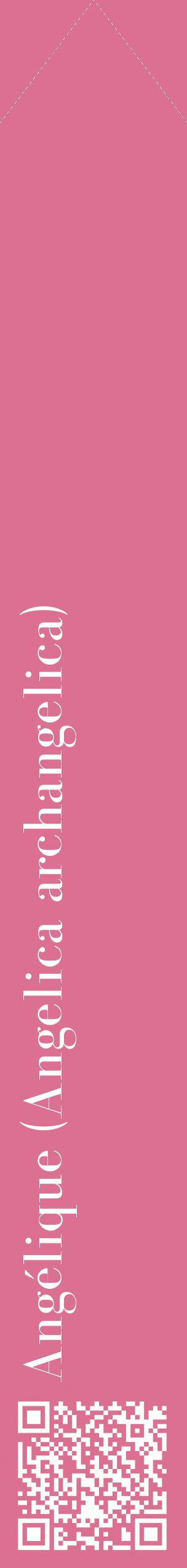 Étiquette de : Angelica archangelica - format c - style blanche44_simplebod avec qrcode et comestibilité