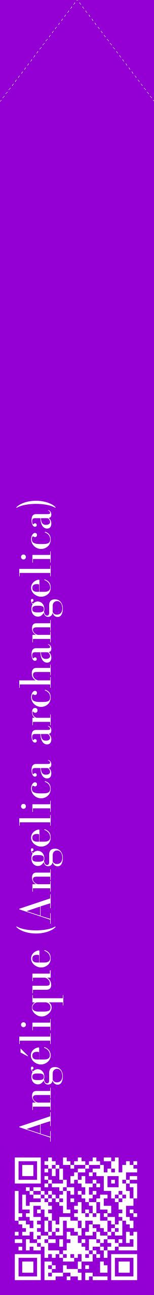 Étiquette de : Angelica archangelica - format c - style blanche48_simplebod avec qrcode et comestibilité