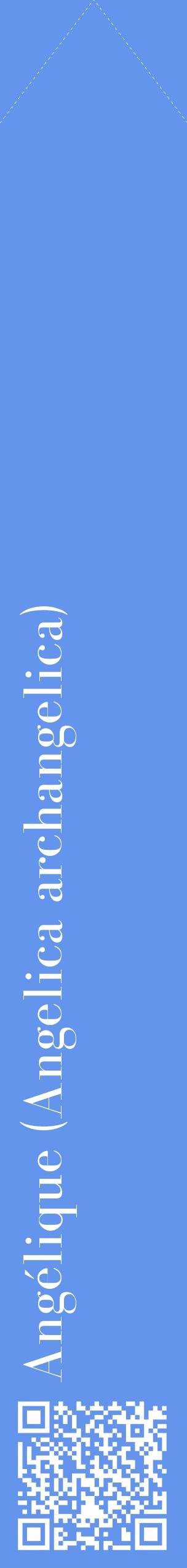 Étiquette de : Angelica archangelica - format c - style blanche4_simplebod avec qrcode et comestibilité