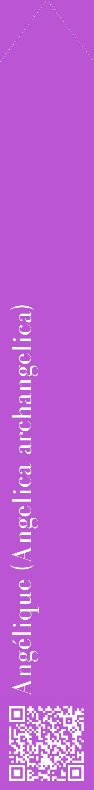 Étiquette de : Angelica archangelica - format c - style blanche50_simplebod avec qrcode et comestibilité