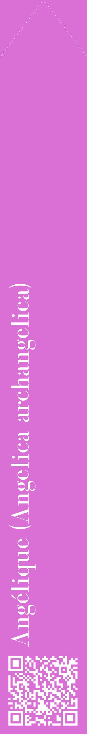 Étiquette de : Angelica archangelica - format c - style blanche52_simplebod avec qrcode et comestibilité