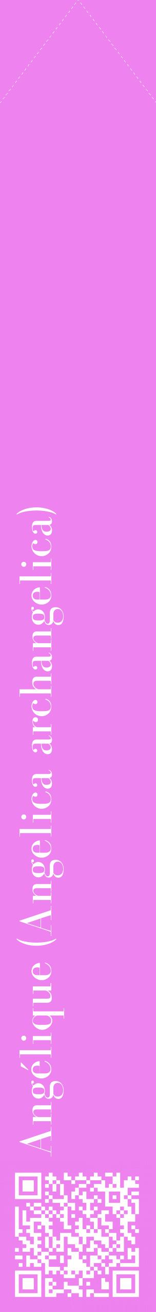Étiquette de : Angelica archangelica - format c - style blanche53_simplebod avec qrcode et comestibilité