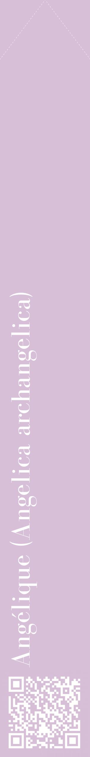 Étiquette de : Angelica archangelica - format c - style blanche54_simplebod avec qrcode et comestibilité