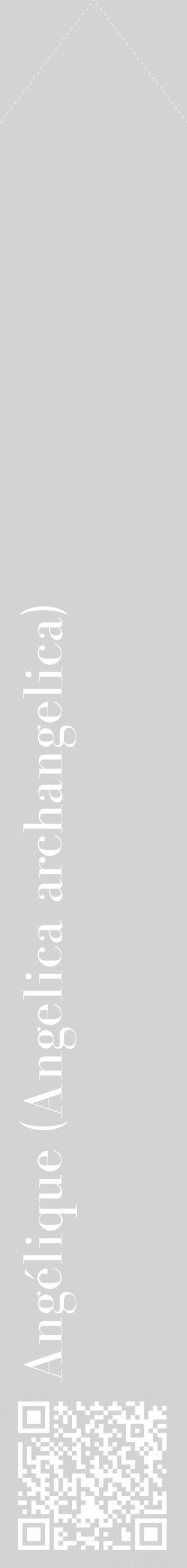 Étiquette de : Angelica archangelica - format c - style blanche56_simplebod avec qrcode et comestibilité