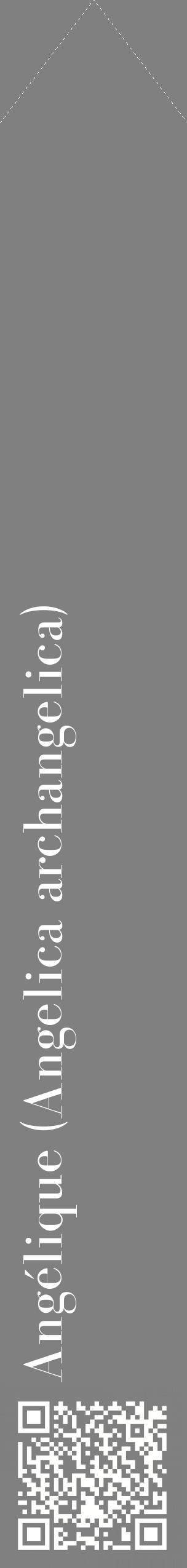 Étiquette de : Angelica archangelica - format c - style blanche57_simplebod avec qrcode et comestibilité