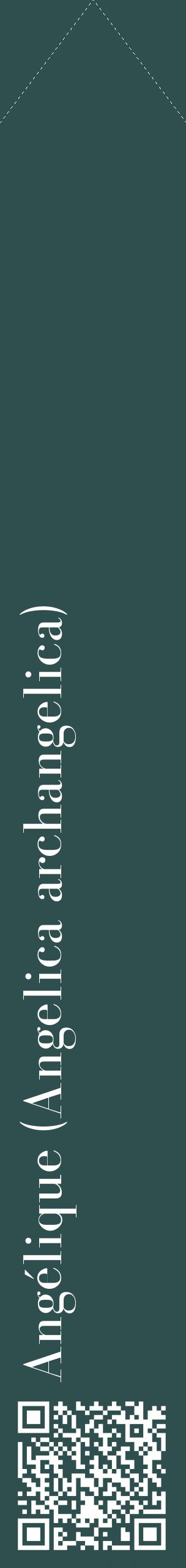 Étiquette de : Angelica archangelica - format c - style blanche58_simplebod avec qrcode et comestibilité