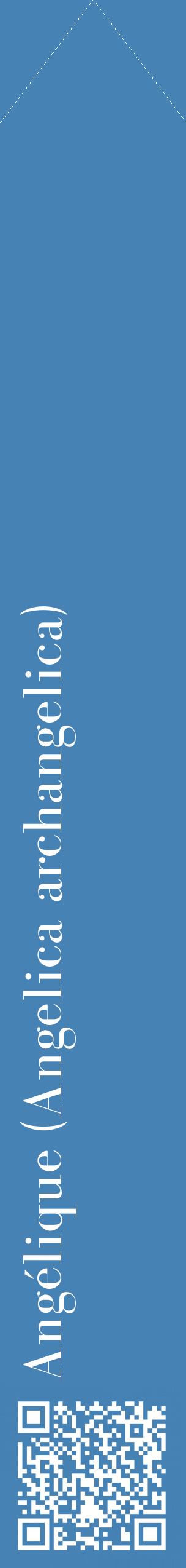Étiquette de : Angelica archangelica - format c - style blanche5_simplebod avec qrcode et comestibilité