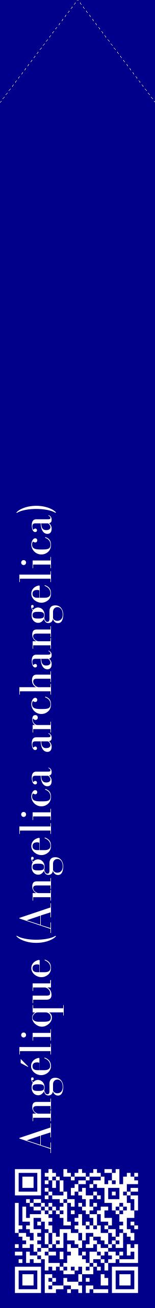 Étiquette de : Angelica archangelica - format c - style blanche7_simplebod avec qrcode et comestibilité