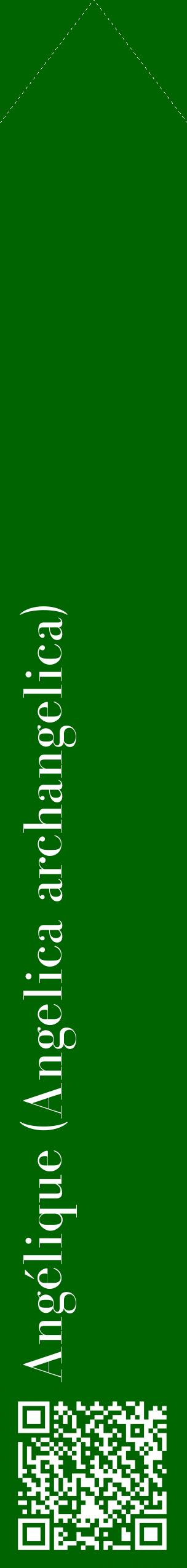 Étiquette de : Angelica archangelica - format c - style blanche8_simplebod avec qrcode et comestibilité