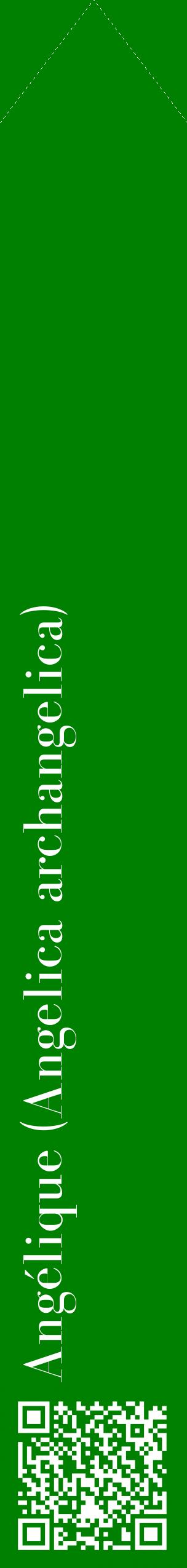 Étiquette de : Angelica archangelica - format c - style blanche9_simplebod avec qrcode et comestibilité