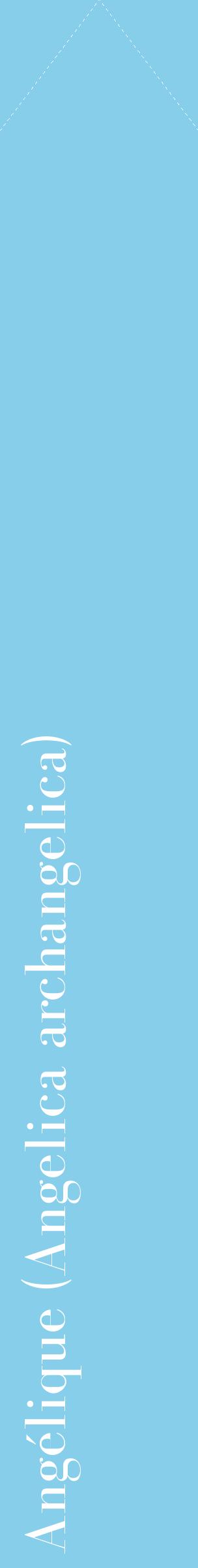 Étiquette de : Angelica archangelica - format c - style blanche1_simplebod avec comestibilité
