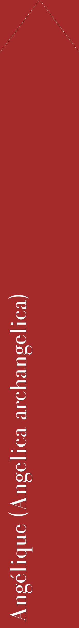 Étiquette de : Angelica archangelica - format c - style blanche33_simplebod avec comestibilité
