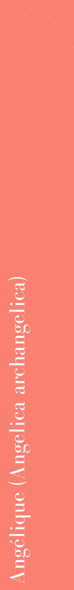 Étiquette de : Angelica archangelica - format c - style blanche38_simplebod avec comestibilité