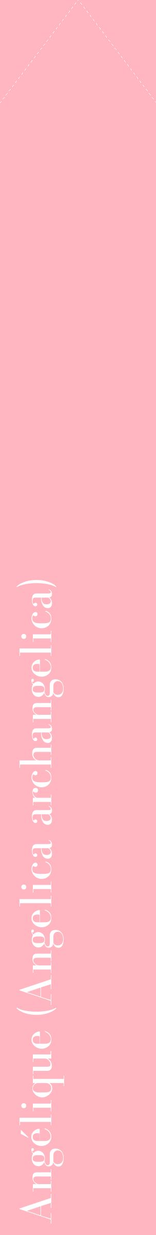 Étiquette de : Angelica archangelica - format c - style blanche41_simplebod avec comestibilité