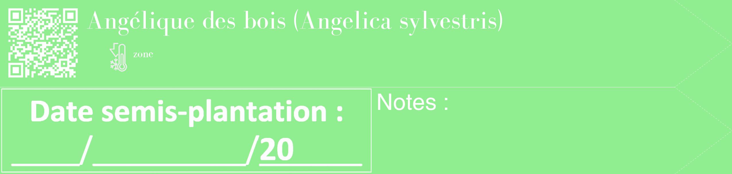 Étiquette de : Angelica sylvestris - format c - style blanche15_simple_simplebod avec qrcode et comestibilité