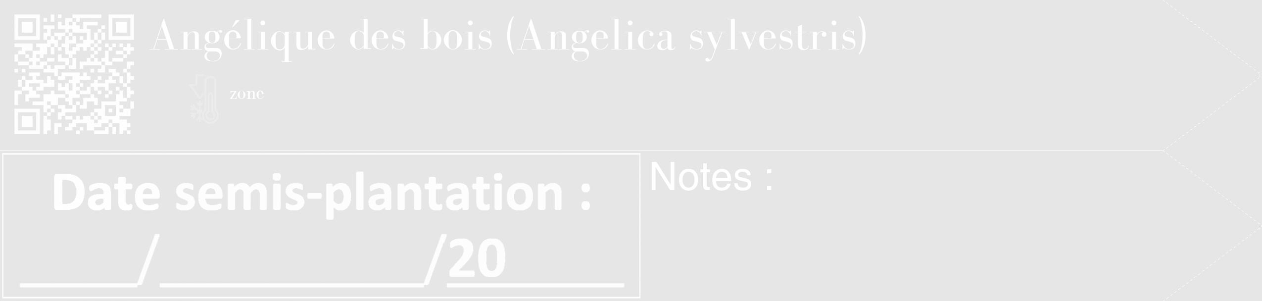 Étiquette de : Angelica sylvestris - format c - style blanche18_simple_simplebod avec qrcode et comestibilité