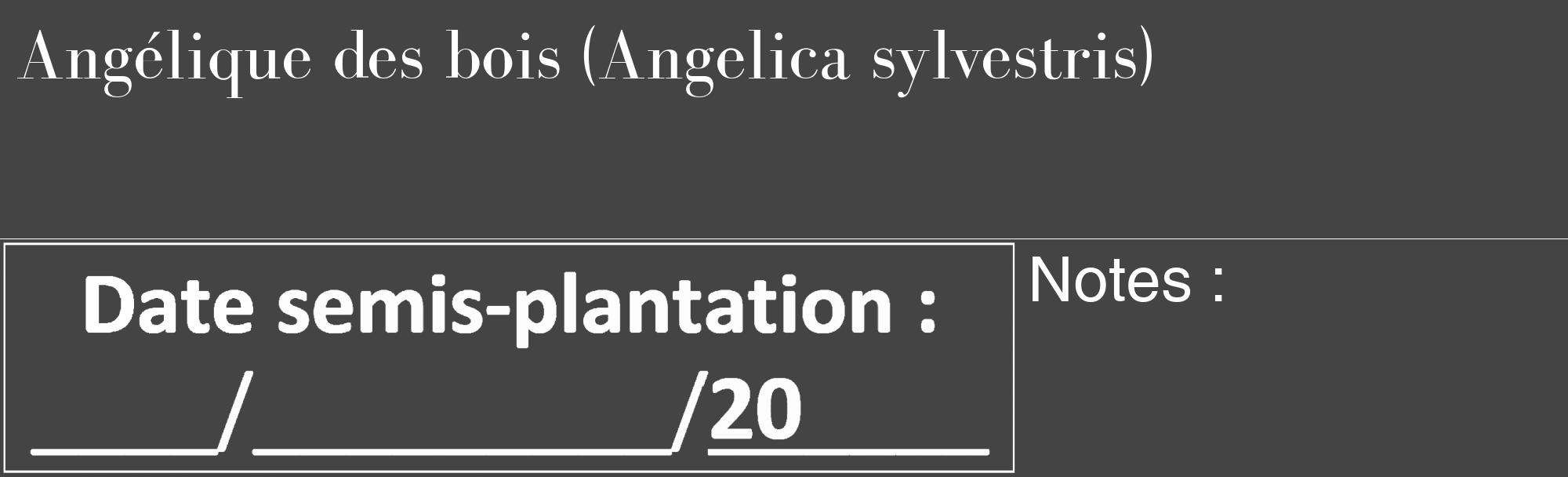 Étiquette de : Angelica sylvestris - format c - style blanche48_basique_basiquebod avec comestibilité