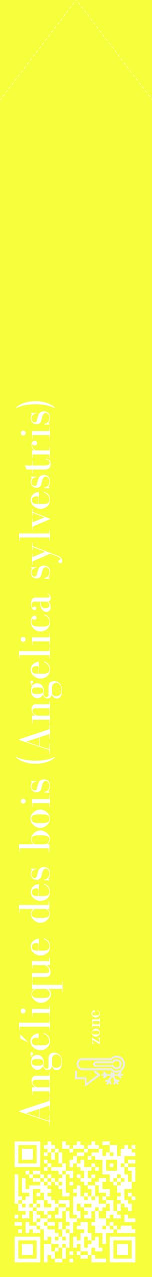 Étiquette de : Angelica sylvestris - format c - style blanche18_simple_simplebod avec qrcode et comestibilité - position verticale