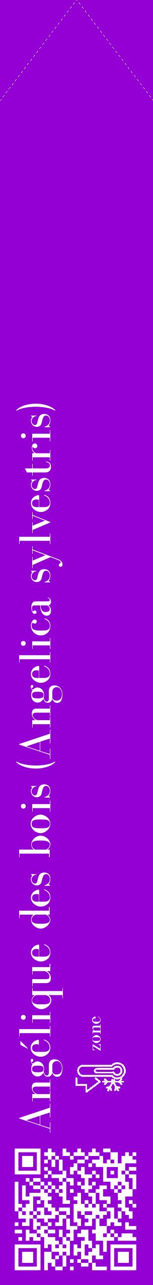 Étiquette de : Angelica sylvestris - format c - style blanche48_simple_simplebod avec qrcode et comestibilité - position verticale