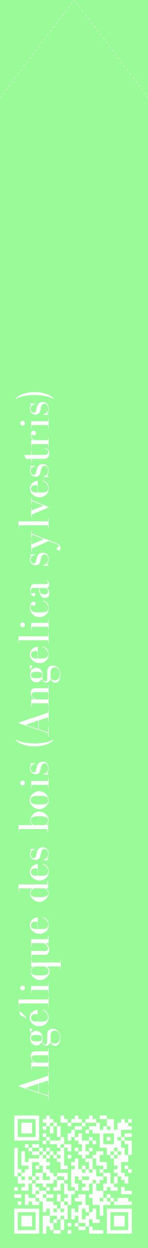 Étiquette de : Angelica sylvestris - format c - style blanche14_simplebod avec qrcode et comestibilité