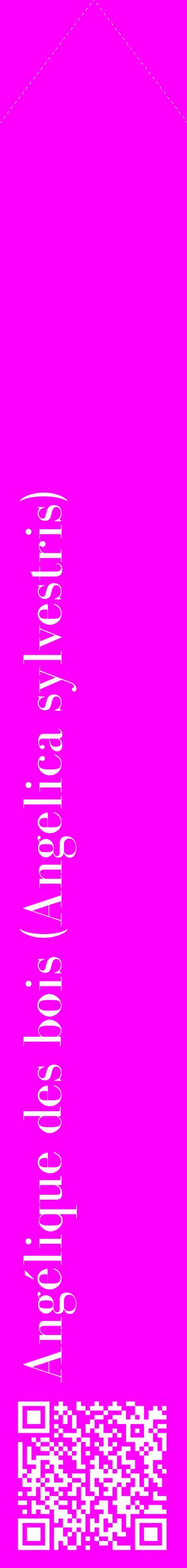 Étiquette de : Angelica sylvestris - format c - style blanche51_simplebod avec qrcode et comestibilité